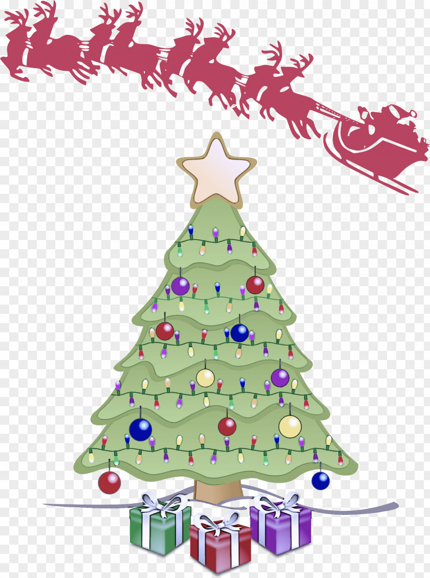 Pine Holiday Ornament Christmas Tree PNG