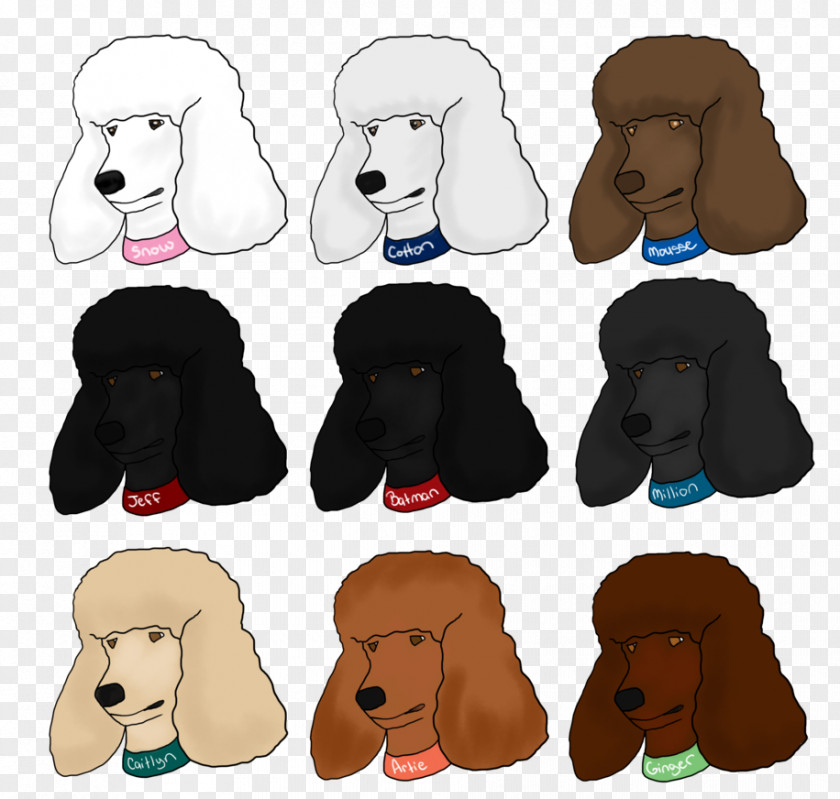 Standard Poodle Dog Breed Puppy Spaniel Snout PNG
