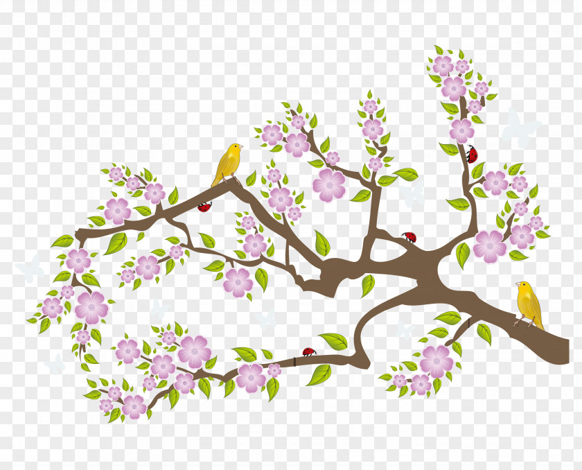 Vector Peach Tree Oriole Bird Material Cherry Blossom Twig Wall Decal Sticker PNG
