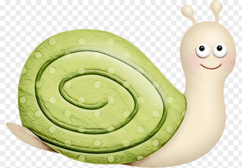 Vegetable Snail Biology Science PNG