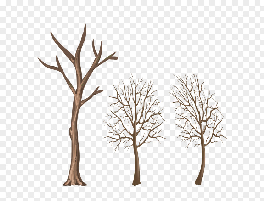 Winter Elements Twig Wood Tree Branch PNG