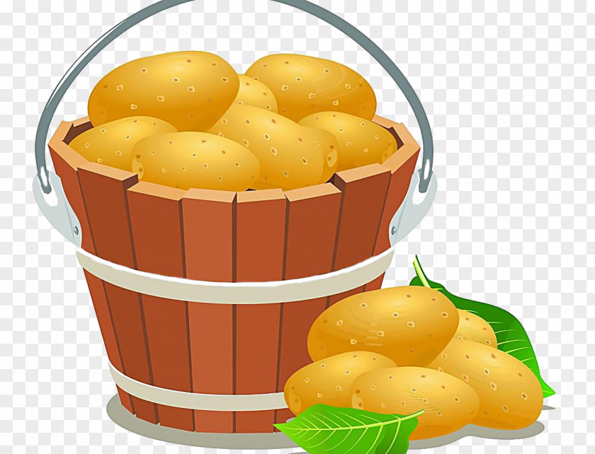 A Bucket Of Potatoes Potato Drawing Clip Art PNG