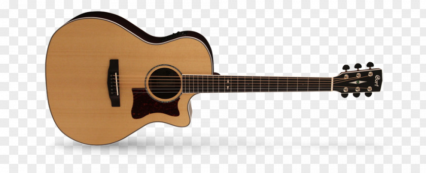 Acoustic Guitar Cort Guitars Acoustic-electric Cutaway PNG