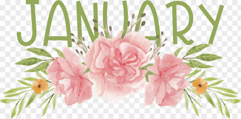 Floral Design PNG