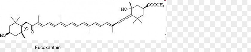 Photosynthetic Efficiency White Line Art Point PNG