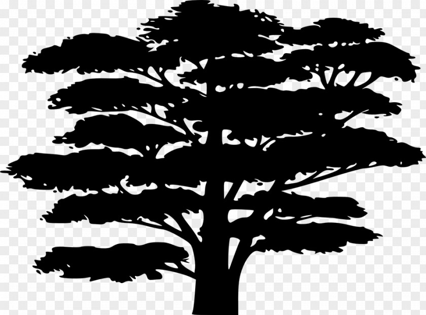 Silhouette Tree Drawing PNG