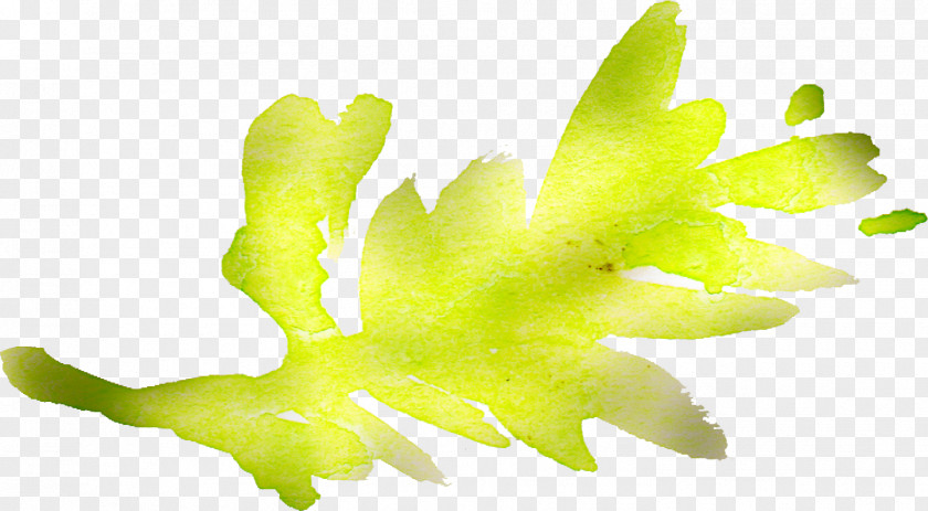 Watercolor Flowers Leaf Plant Stem Desktop Wallpaper Yellow PNG