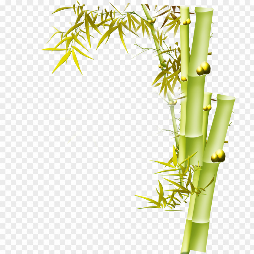 Bamboo Graphic Design Bird-and-flower Painting PNG