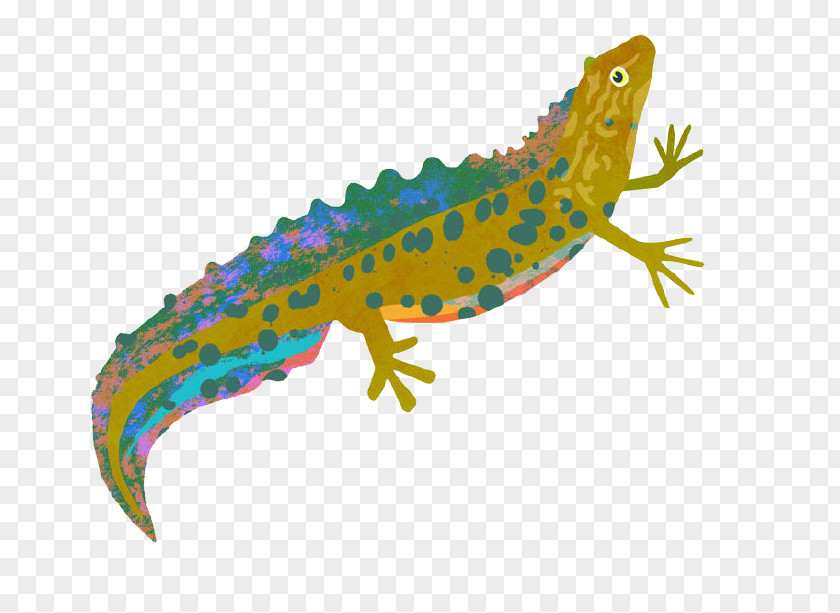 Cartoon Crawling Lizard Painting Illustration PNG