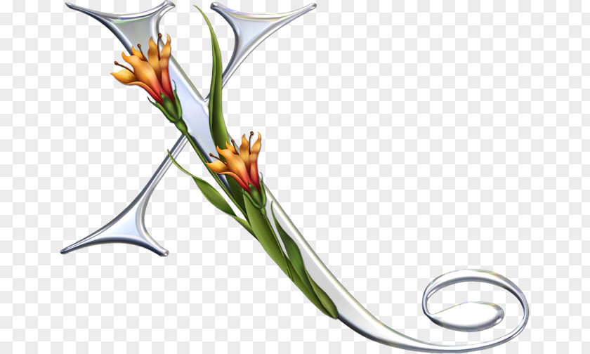Design Alphabet Floral Art Letter Clip PNG