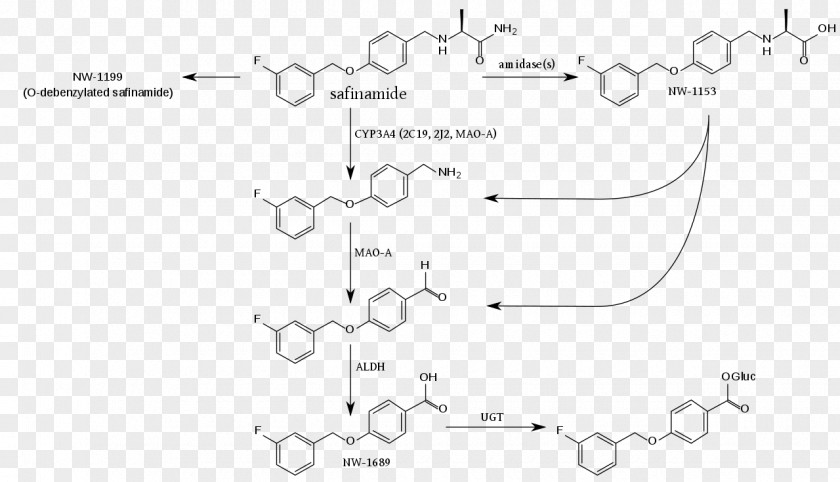 Fenbufen Metabolite Safinamide Coenzyme A Metabolism PNG