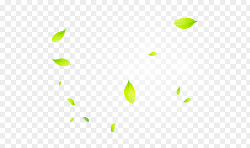 Leaves Sunlight Effect Line Point Angle Green Pattern PNG