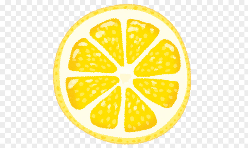 Lemon Nutrient Fruit Food Zuur PNG
