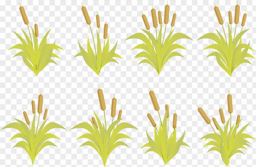 Plant Stem Green Grass Clip Art Line PNG