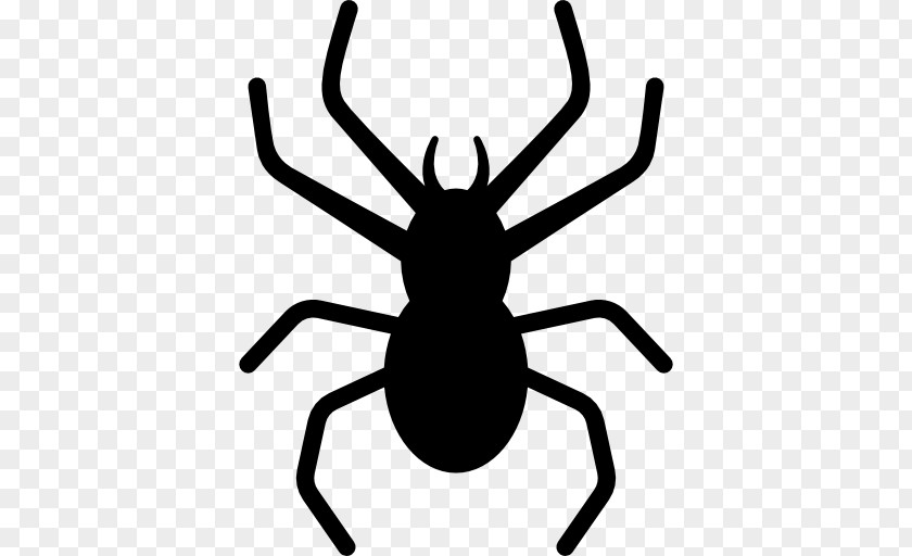 Spider Insect Clip Art PNG