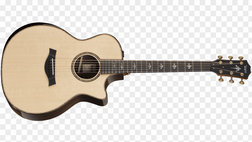 Acoustic Guitar Taylor Guitars 914CE Acoustic-Electric PNG