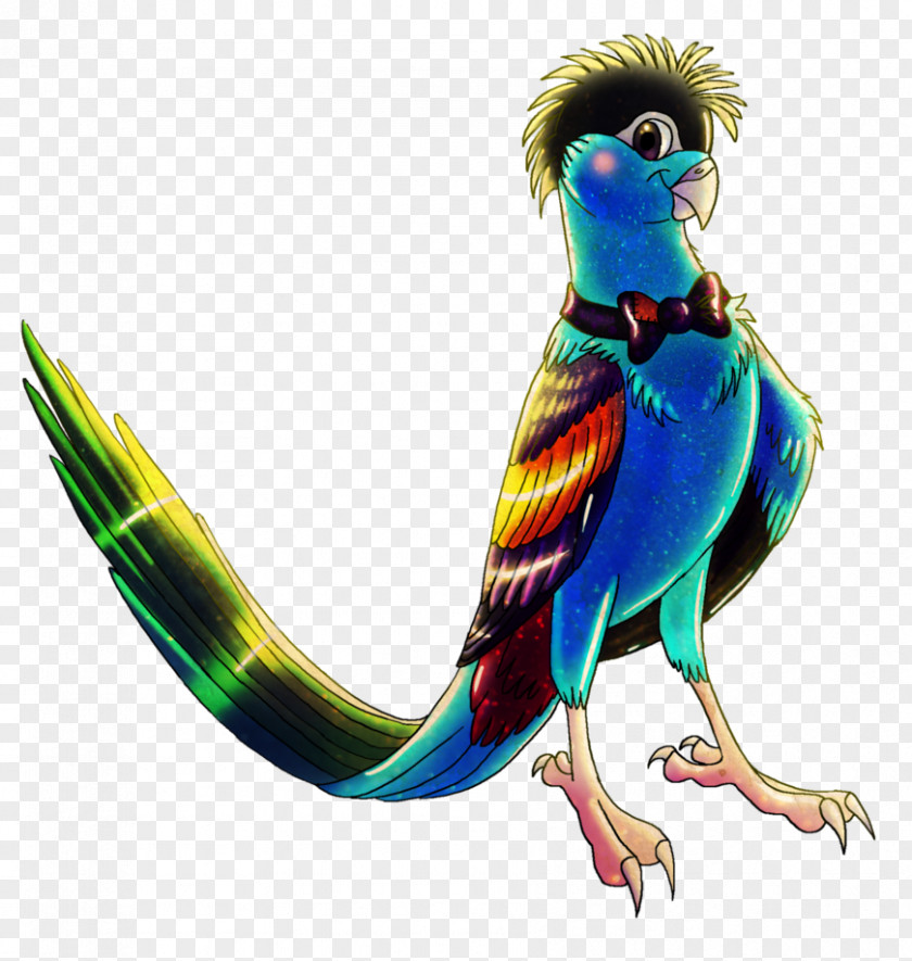 Bird Budgerigar Macaw Parakeet Feather PNG