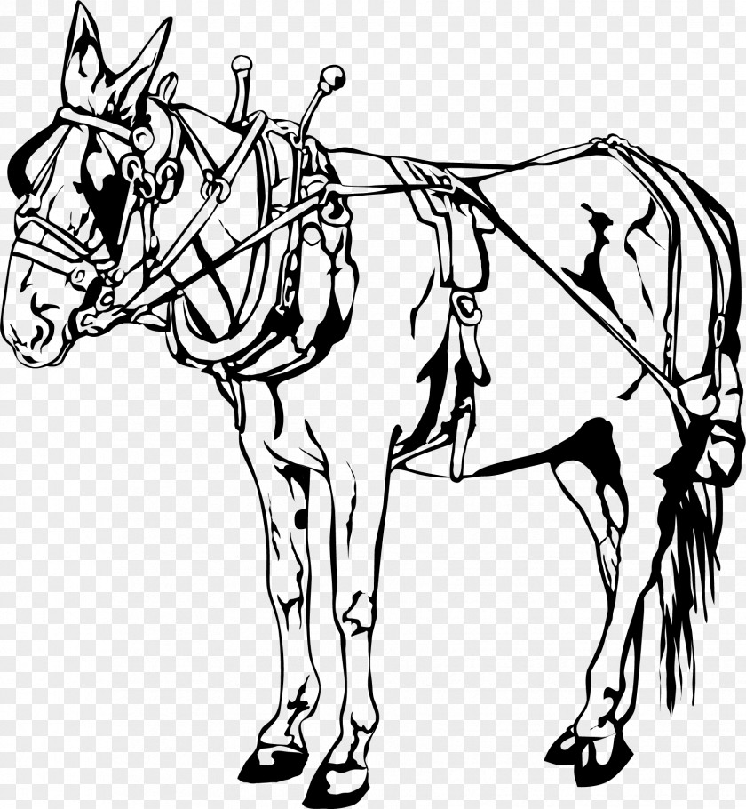 Carriage Horse Visual Arts Pony Clip Art PNG
