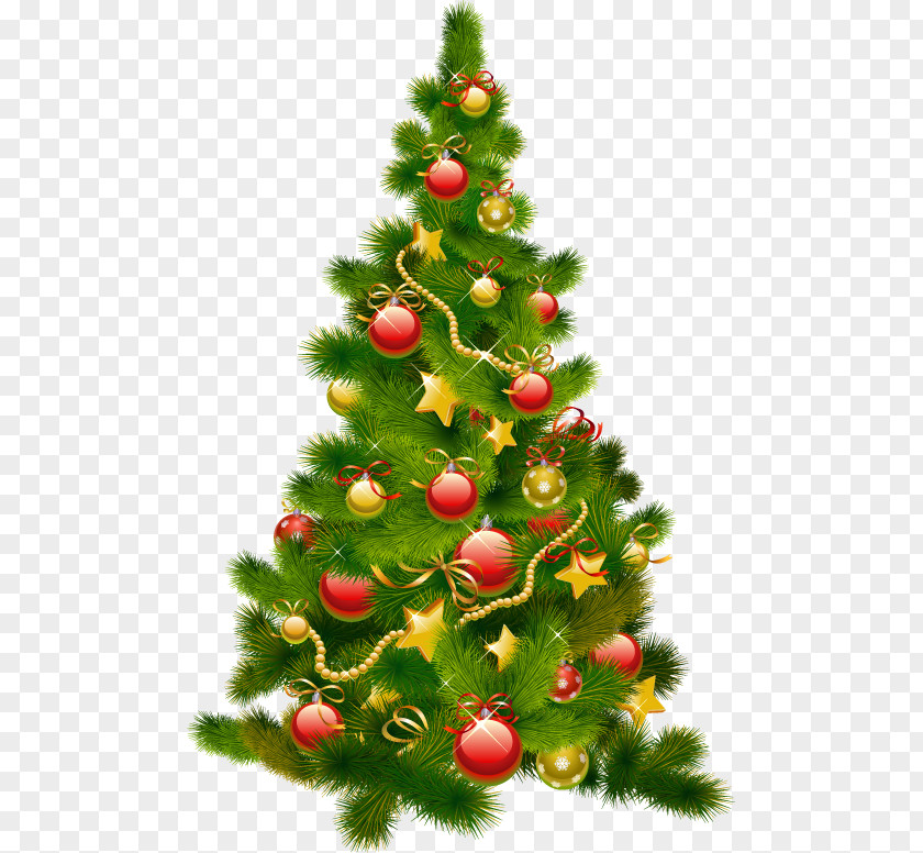 Fir Trees Illuminating Christmas Tree Ornament Decoration Clip Art PNG