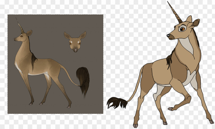 Horse Impala Bambi Deer Pack Animal PNG