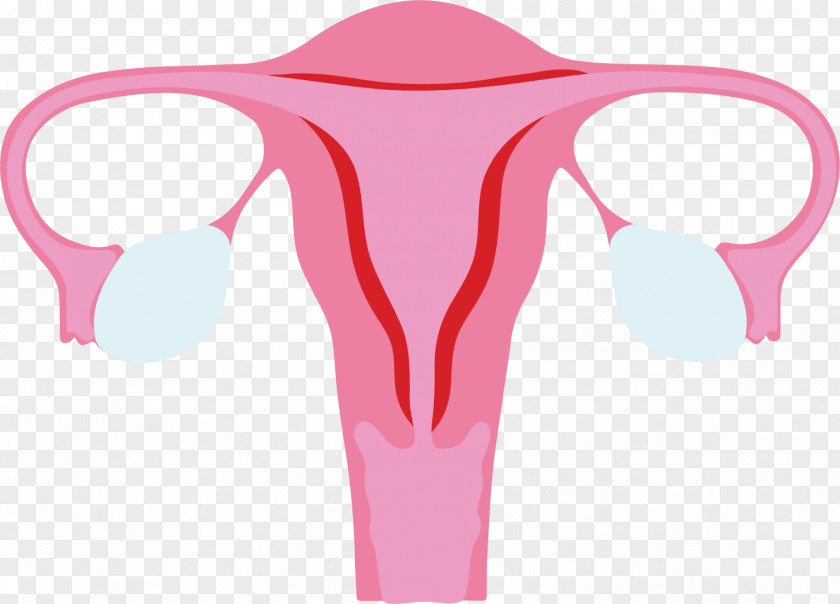 Menstruation Menstrual Cycle Ovary Blood Shoulder PNG