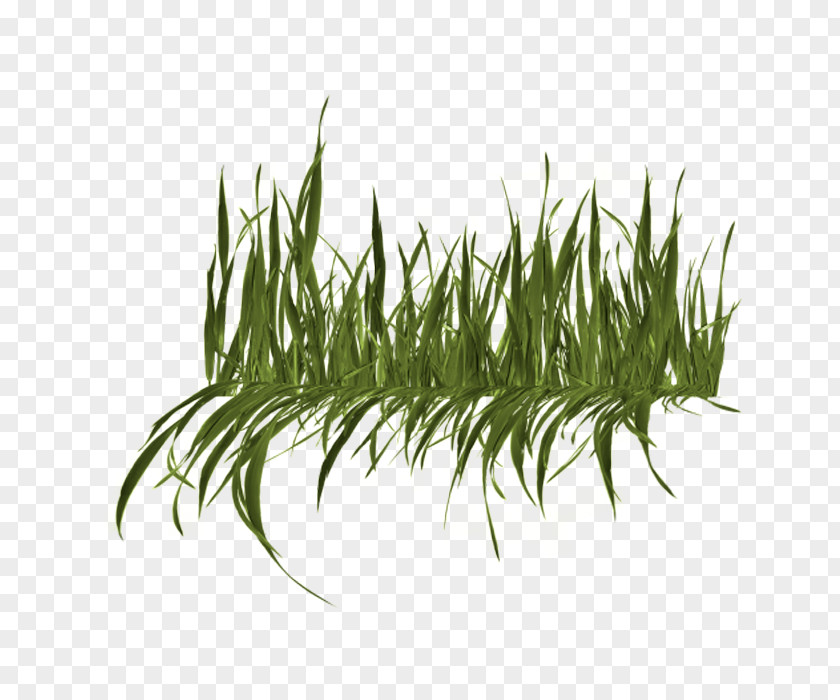 Us Route 12 Lawn Mowers Artificial Turf PNG