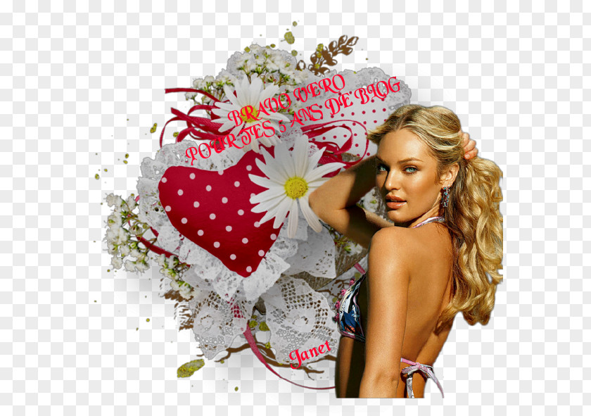 Valentine's Day Fotki Photo Albums PNG