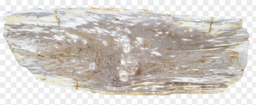 Wood Slab Mineral Petrified Petrifaction Rock PNG