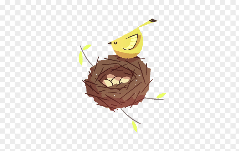 Bird And Nest PNG
