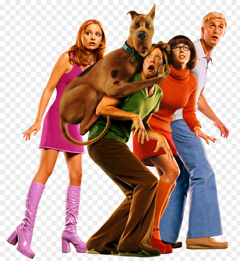 Fred Jones Scooby Doo Scrappy-Doo Film Scooby-Doo PNG