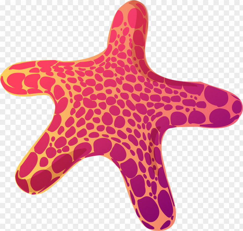 Hand Painted Red Star Starfish PNG