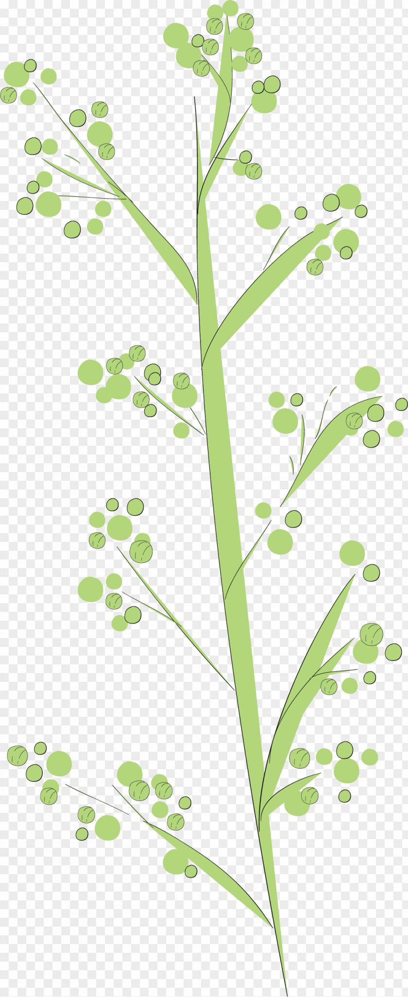 Simple Leaf Drawing Outline PNG