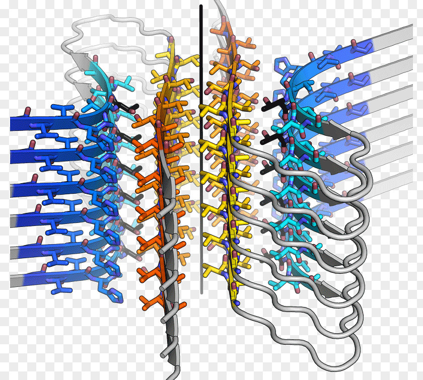 Amyloid Fibril Alpha-synuclein Crystal Structure PNG