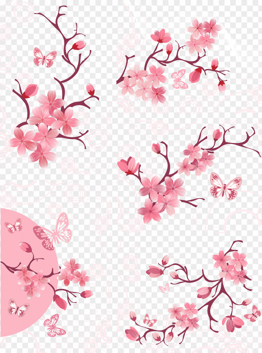 Cherry Blossoms Poster PNG