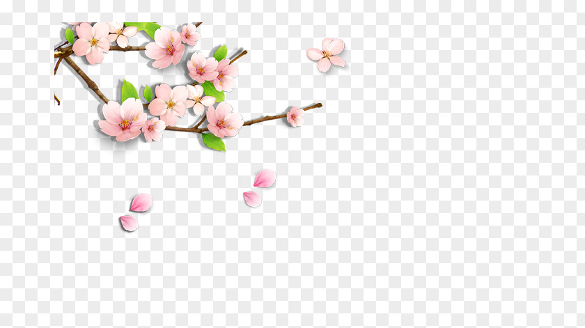 Floral Decoration Cherry Blossom Clip Art PNG