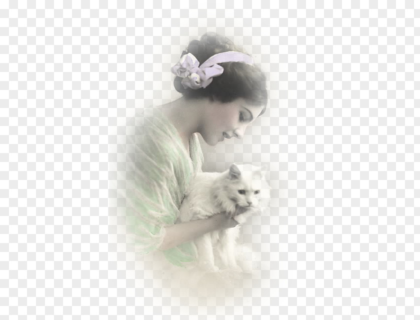 Home-made Vintage Clothing Post Cards Cat Photography Pin PNG