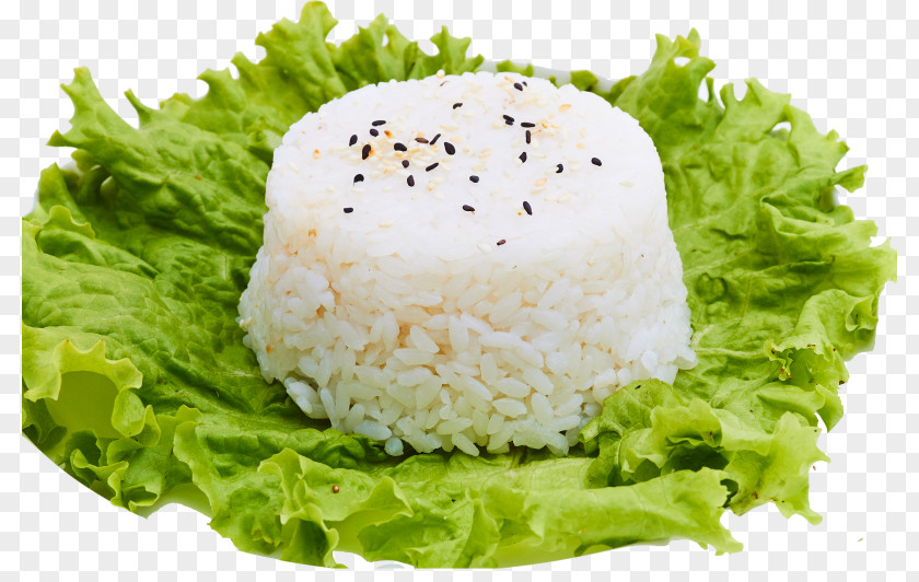Rice Fried Frikadeller Garnish Side Dish PNG
