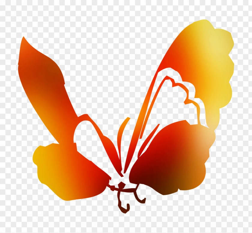 Clip Art Desktop Wallpaper Computer M. Butterfly Orange S.A. PNG