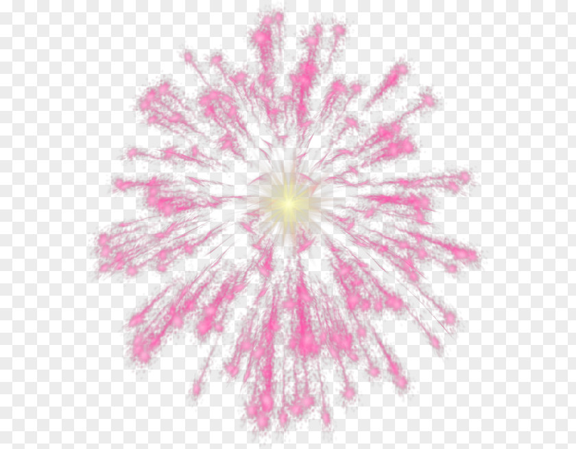 Fireflies Fireworks Free Clip Art PNG