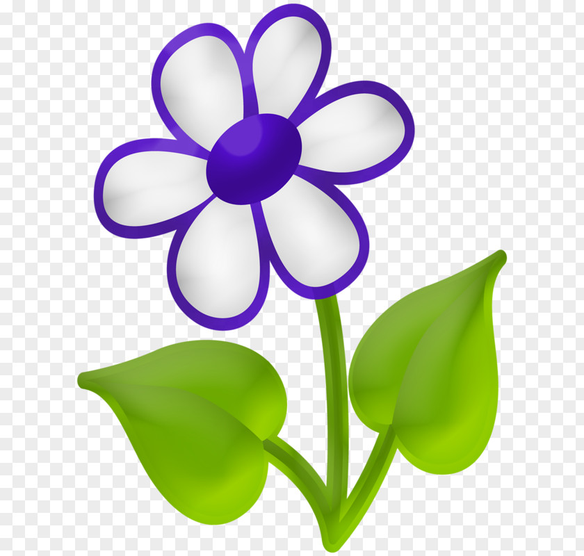 Fleur Hiver Flower Clip Art Image Petal PNG