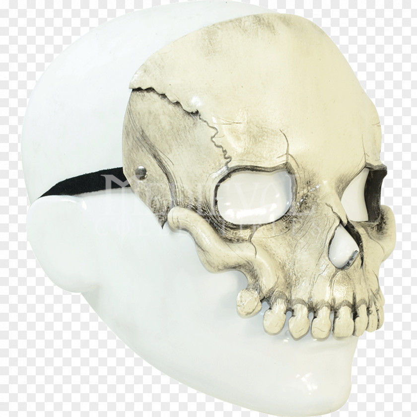 Skull Jaw PNG