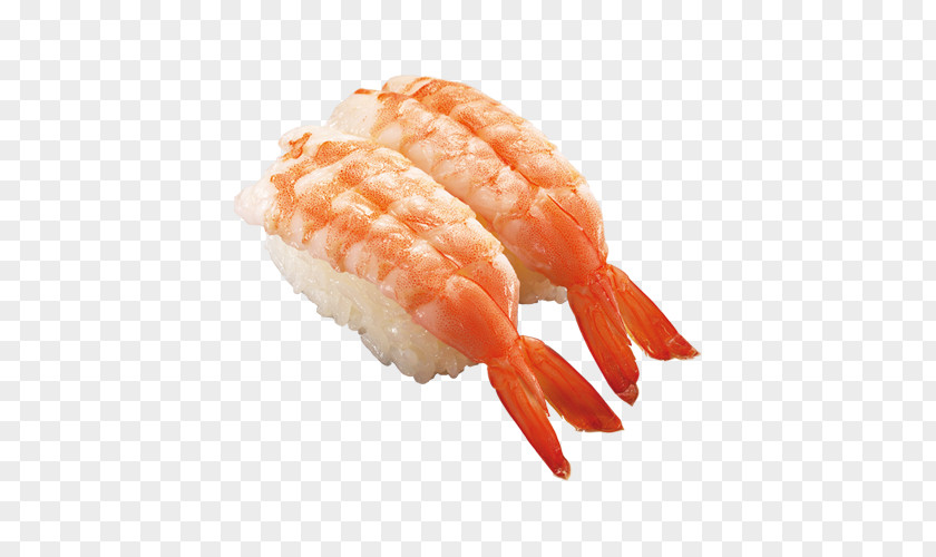 Sushi California Roll Tamagoyaki Caridea Shrimp PNG