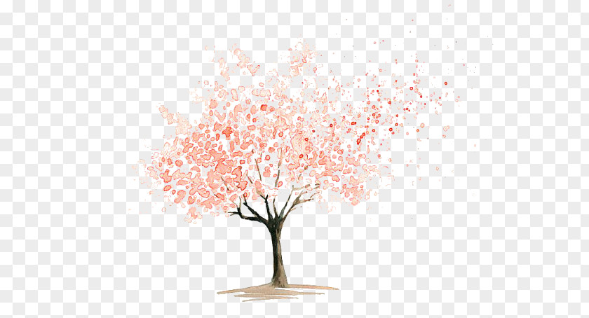 Cherry Blossom Flower Drawings Watercolor Painting Art PNG