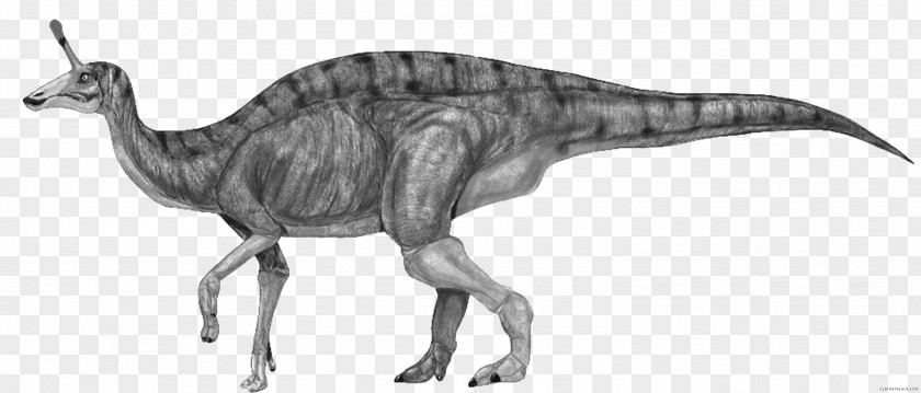 Dinosaur Tsintaosaurus Iguanodontia Corythosaurus Tyrannosaurus PNG