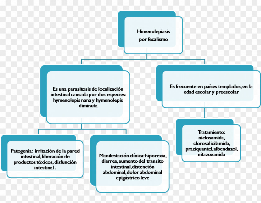 Hyperthyroidism Thyroid Disease In Pregnancy Endocrinology Hypothyroidism Bolivia PNG