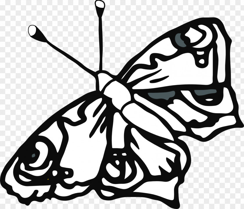 Line Drawings Of Butterflies Butterfly Coloring Book Drawing Art Clip PNG