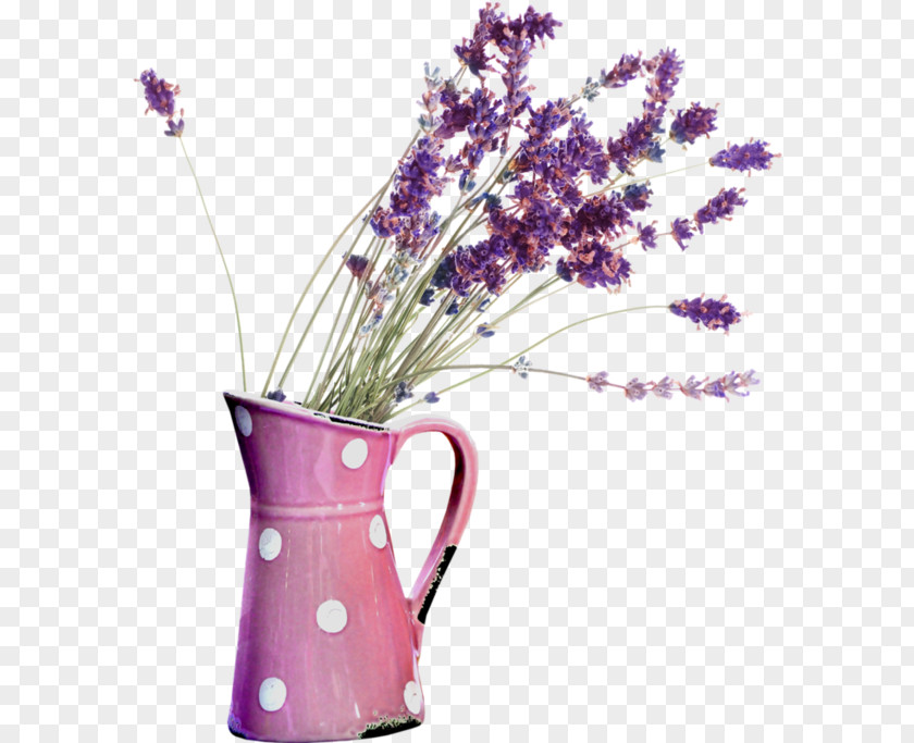 Oil English Lavender Essential French PNG