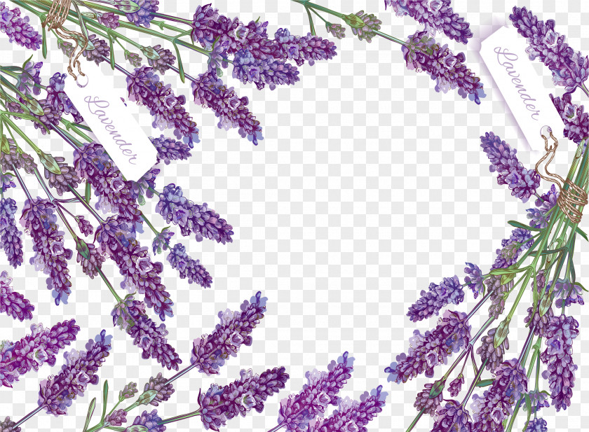 Romantic Lavender Decorative Box PNG