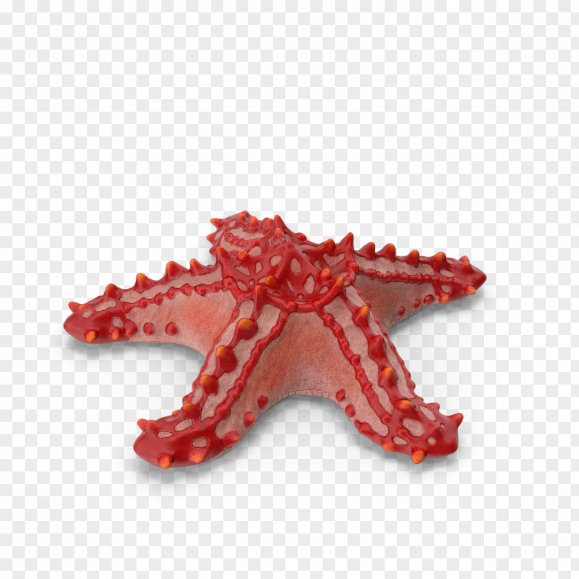 A Starfish Clip Art PNG