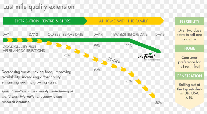 Chain Template Supply Consumer Web Page Technology PNG